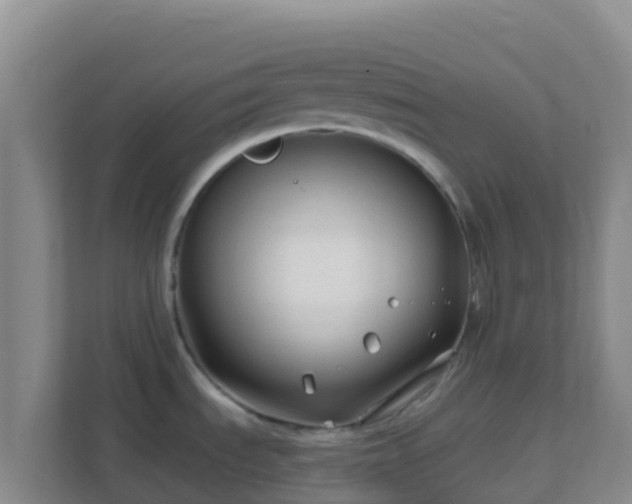 X0000111671535200907241202