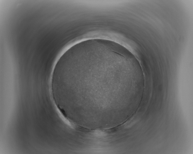 X0000111671536200907241202