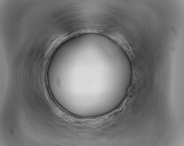 X0000111670001200907311208