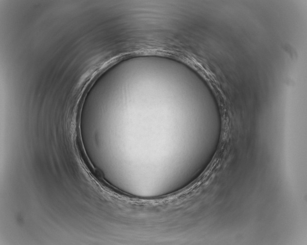 X0000111670002200907311208