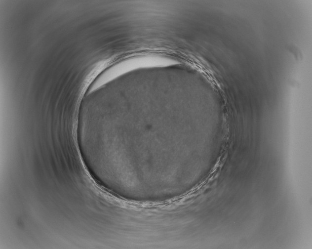 X0000111670003200907311208