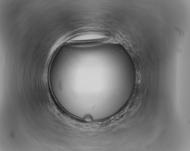 X0000111670004200907311208