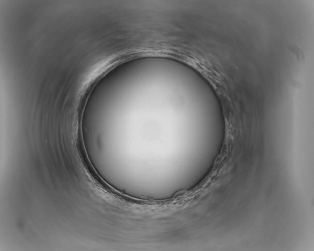 X0000111670005200907311208