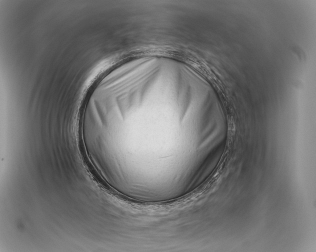 X0000111670006200907311208