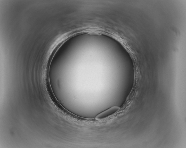 X0000111670007200907311208