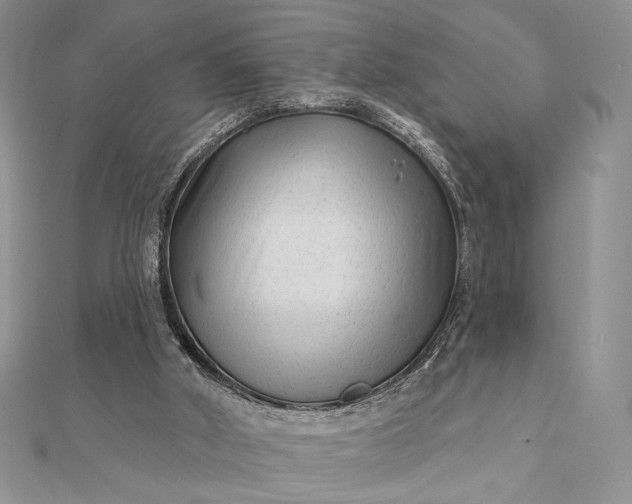 X0000111670010200907311208