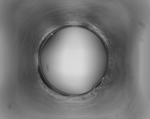 X0000111670011200907311208