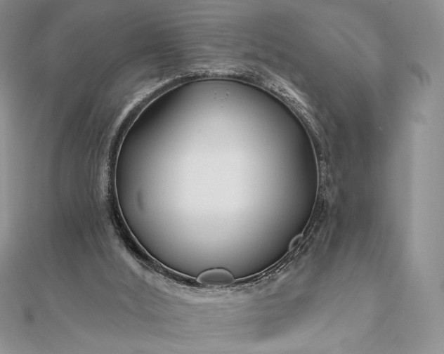 X0000111670012200907311208