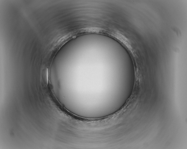 X0000111670013200907311208