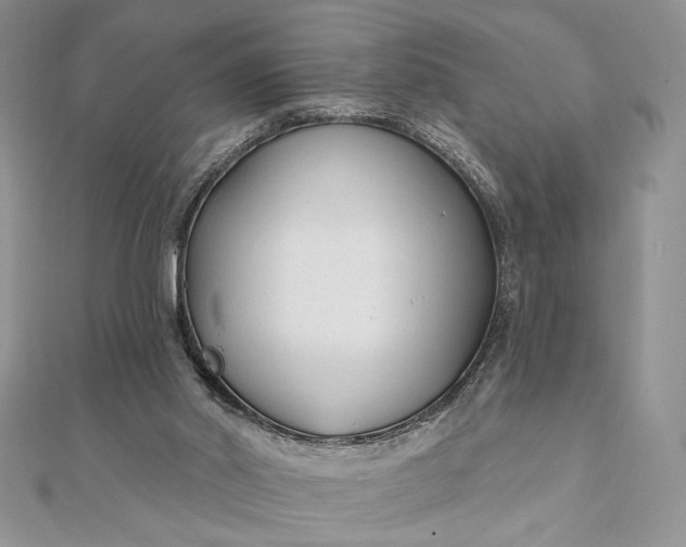 X0000111670014200907311208