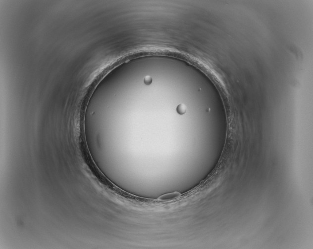 X0000111670015200907311208