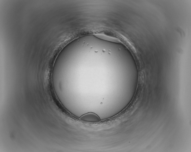 X0000111670018200907311208