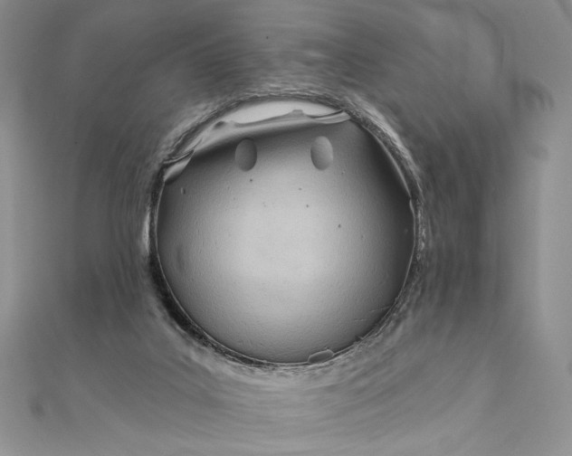 X0000111670019200907311208