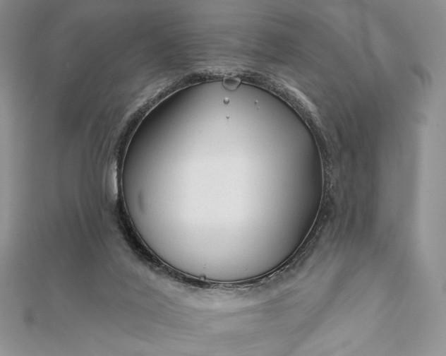 X0000111670020200907311208