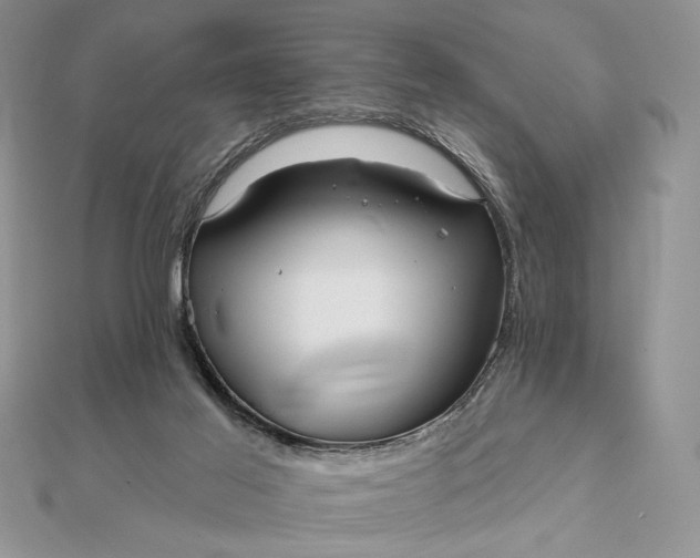 X0000111670021200907311208