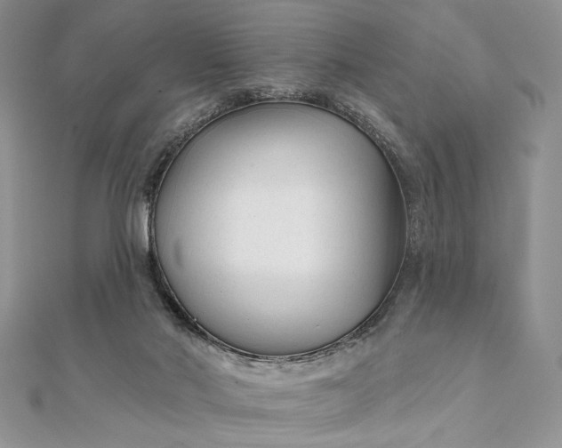 X0000111670022200907311208