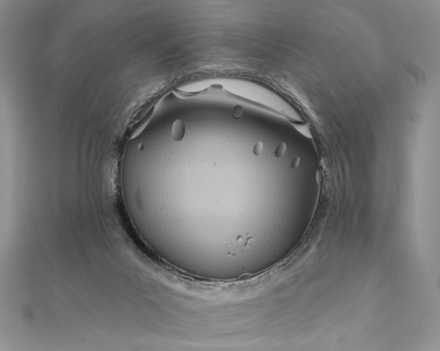 X0000111670023200907311208