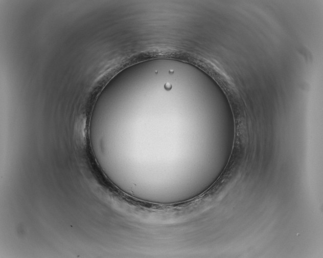 X0000111670024200907311208