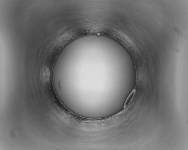 X0000111670025200907311208