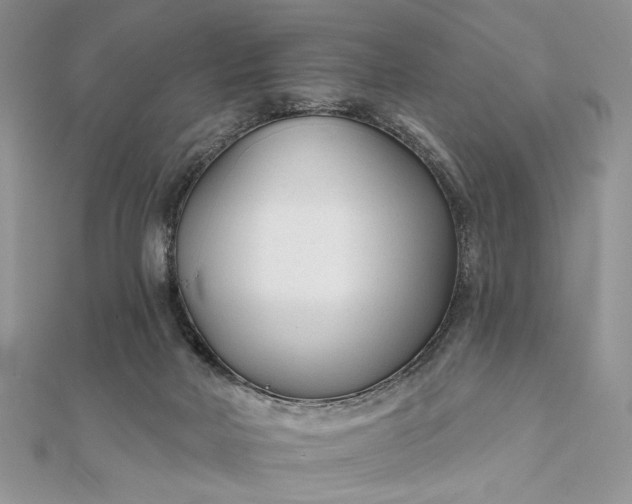 X0000111670026200907311208