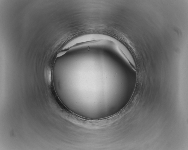 X0000111670027200907311208