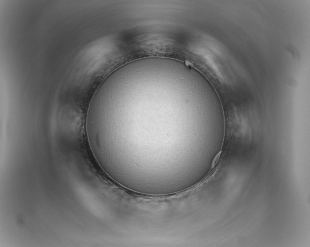 X0000111670029200907311208