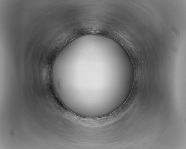 X0000111670030200907311208