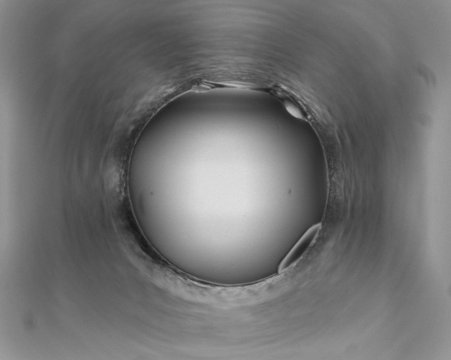 X0000111670031200907311208