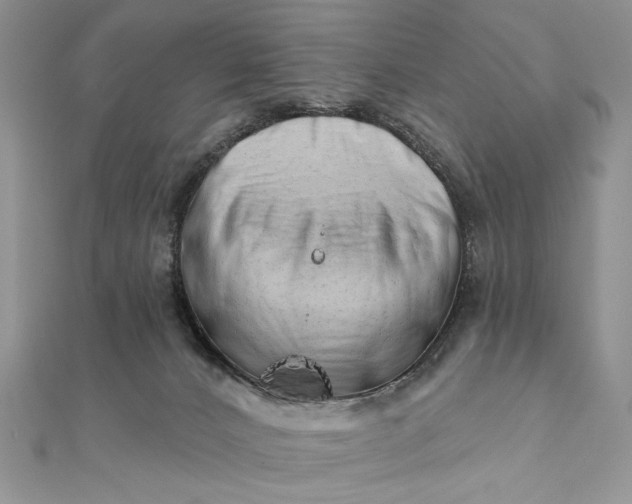 X0000111670032200907311208