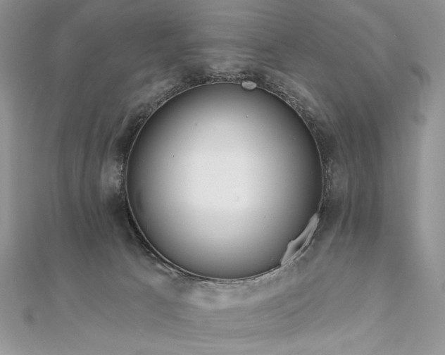 X0000111670033200907311208