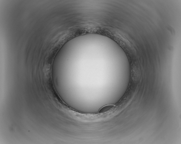 X0000111670034200907311208