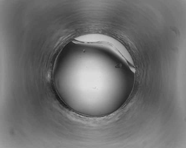 X0000111670035200907311208