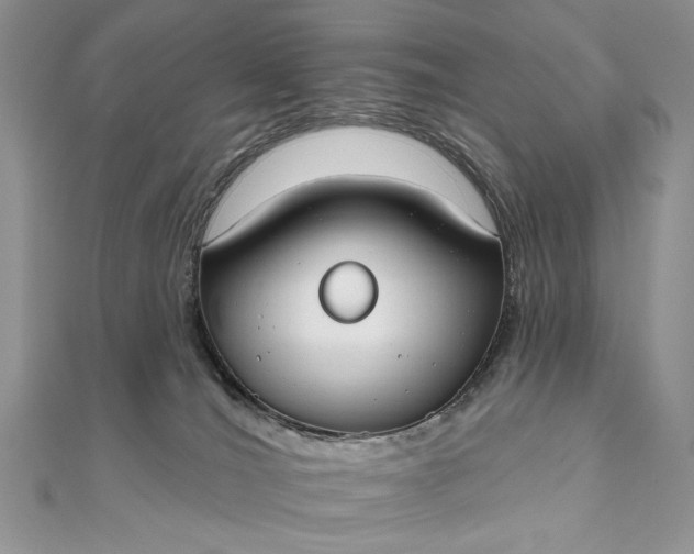 X0000111670036200907311208