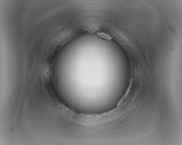 X0000111670037200907311208