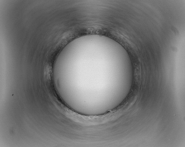 X0000111670038200907311208