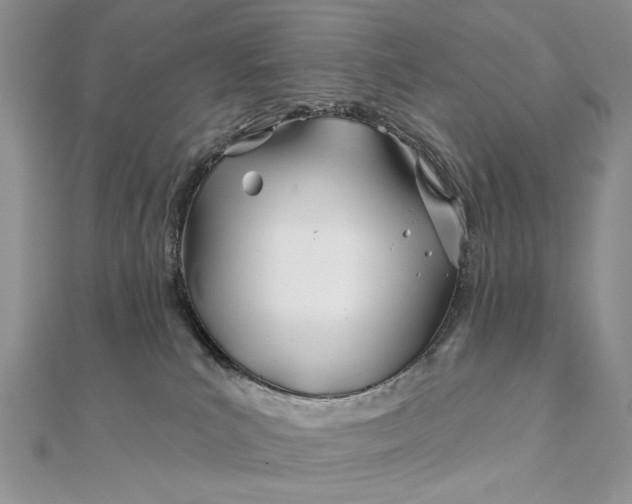 X0000111670039200907311208