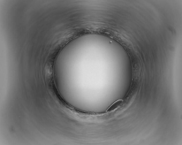 X0000111670040200907311208