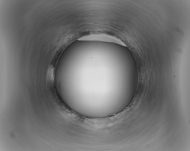 X0000111670041200907311208