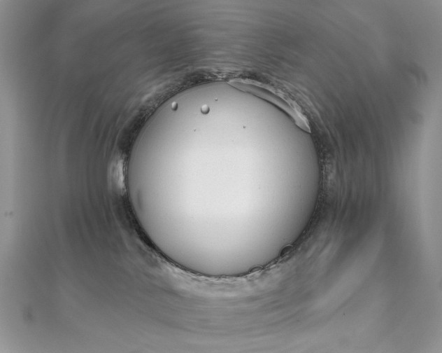 X0000111670042200907311208