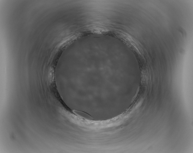 X0000111670043200907311208