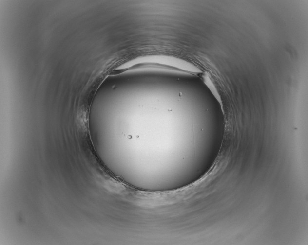 X0000111670045200907311208