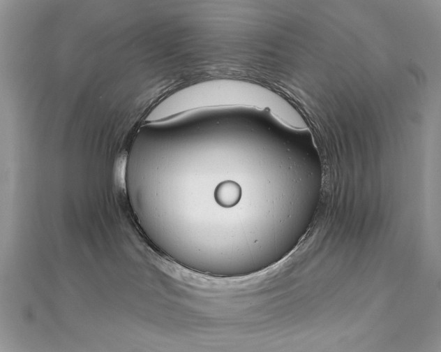 X0000111670047200907311208