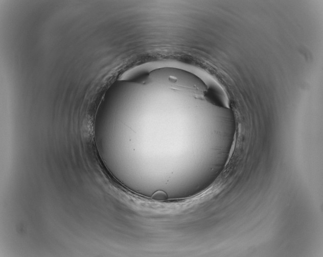 X0000111670048200907311208