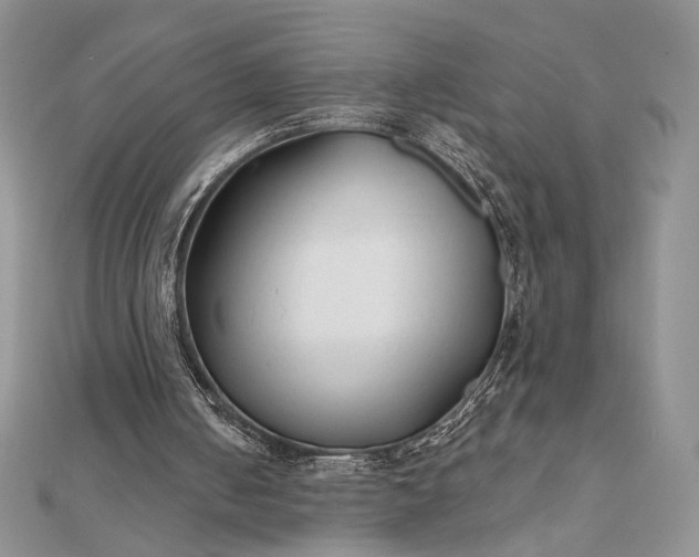 X0000111670050200907311207