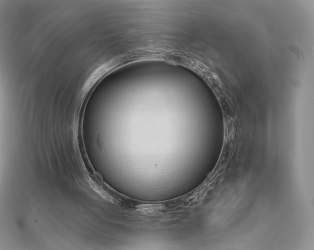 X0000111670051200907311207