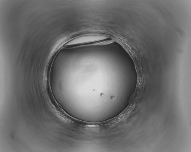 X0000111670053200907311207