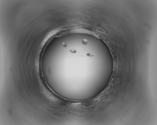 X0000111670054200907311207