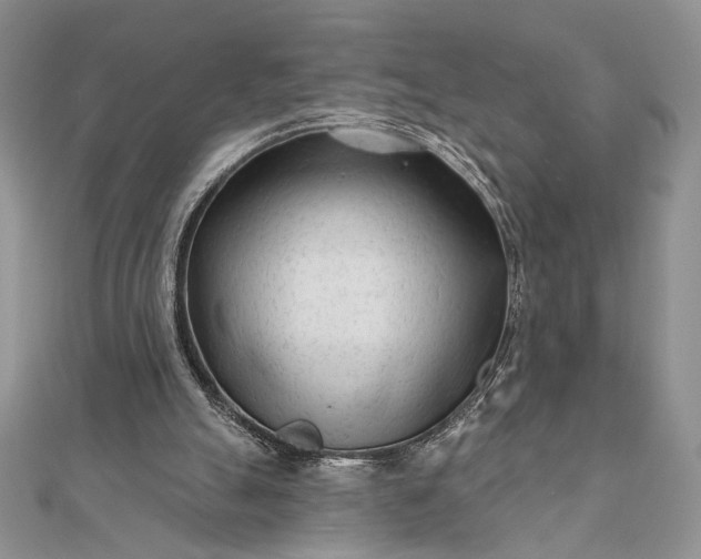 X0000111670055200907311207