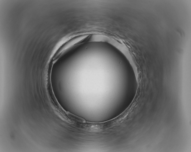 X0000111670056200907311207