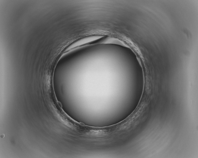 X0000111670057200907311207